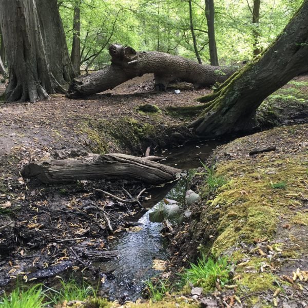 994fc677-bc08-4eaa-8419-e9616e98182e